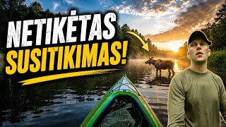 Plaukiu Šventosios upe | Prasidėjo atodangos | Miegu saloje per audrą | Briedis upėje!