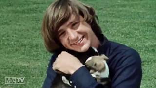 &quot;Gonna Buy Me a Dog&quot; by The Monkees