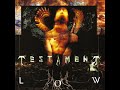 Shades Of War - Testament