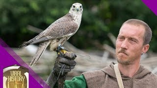 Ancient Artisans - Falconry