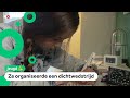 Lila schrijft gedichten en wil dat andere kinderen dat ook doen