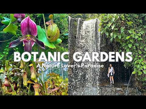 Exploring Singapore Botanic Gardens | Must Visit Spots and Cafe | A Nature Lover's Paradise