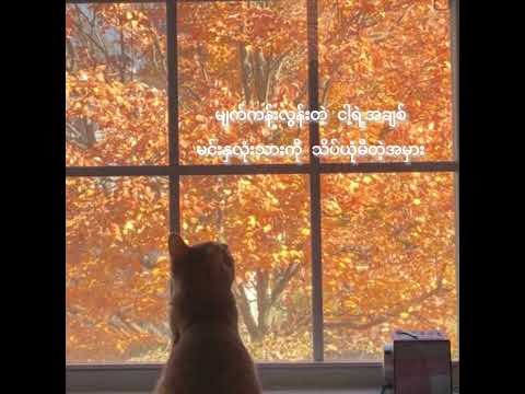 ရင်နာတယ် ဧပရယ်-ဟန်ထွန်း (lyrics video)