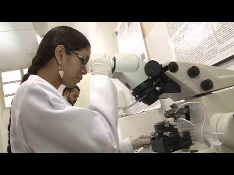 ENGENHARIA DE MATERIAIS