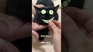 Download lagu Kelakuan Blacky Yang Suka Ngumpet, Bikin Babu Pusing 😂 #shorts #kucing mp3