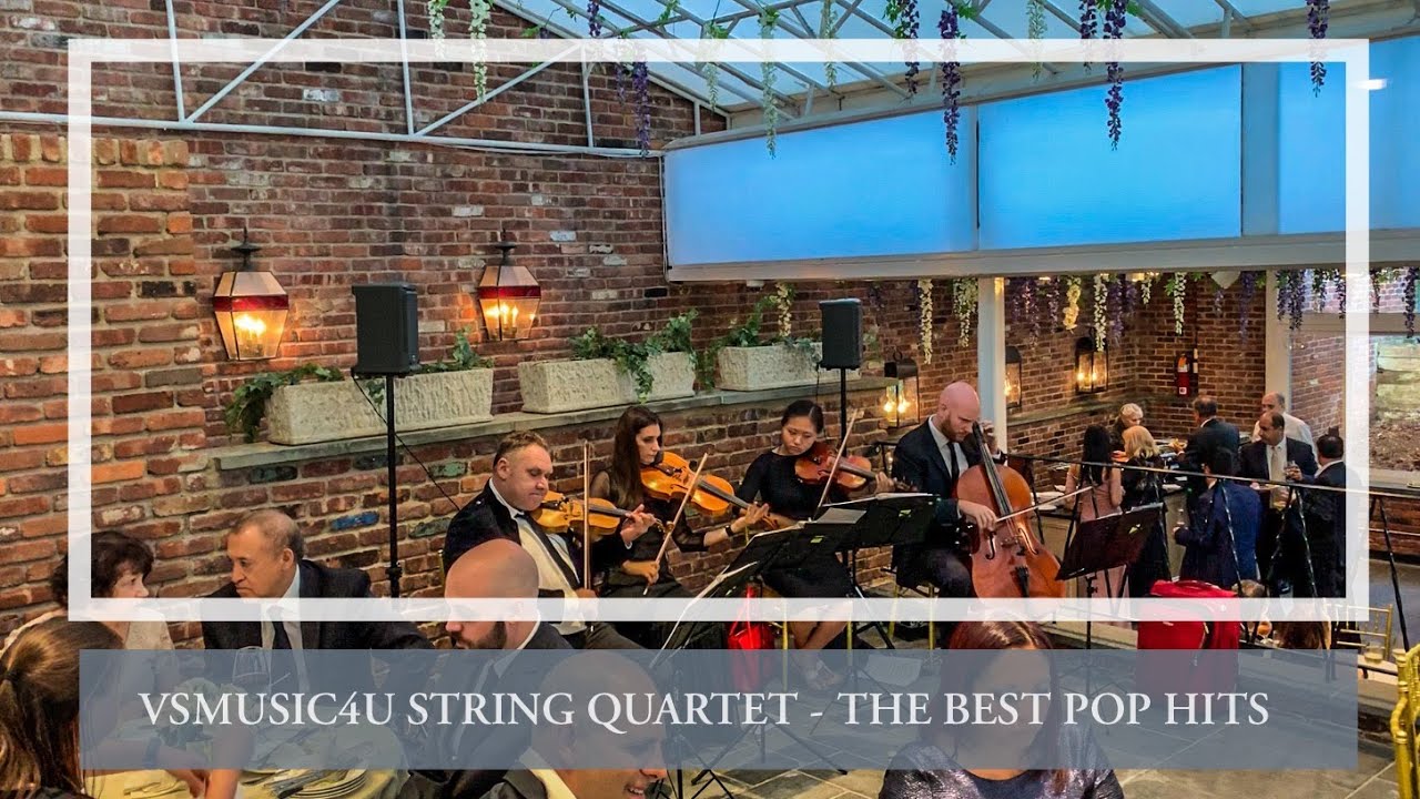 Promotional video thumbnail 15 for VSmusic4u Wedding & Event Musicians