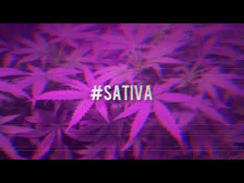 YVNG CIRIUS - #Delirar (Audio)