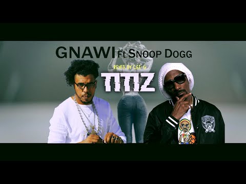 GNAWI - TITIZ - FT SNOOP DOGG (Remix By Cee-G)