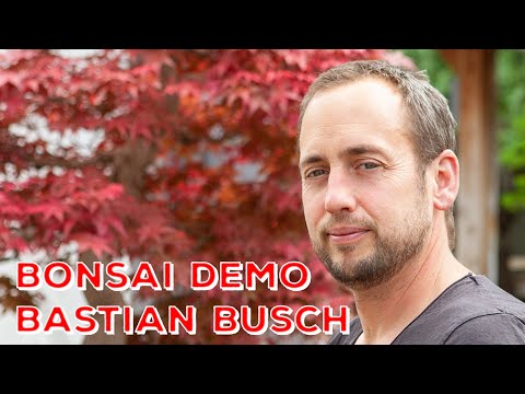 BonsaiKunstHamburg:  Demo Bastian Busch