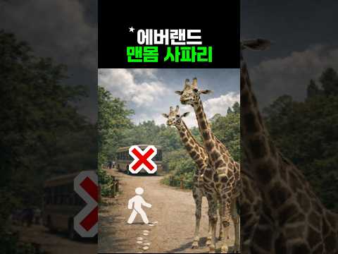 에버랜드 주토피아 사파리 완벽 즐기기 가이드