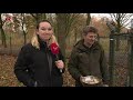 Het gaat goed met de otter in Flevoland