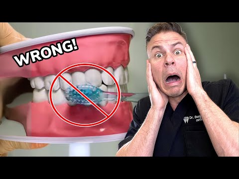 Dentist Reveals How YOU Are Brushing WRONG!