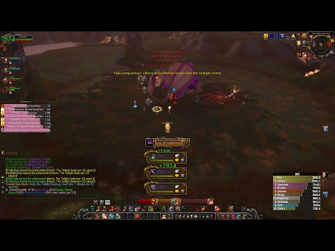 Ruby Sanctum 25 HC / Retribution Paladin # 1 ( Warmane )