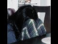 For The Love Of A Daughter Demi Lovato Speed Up