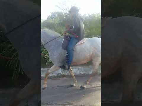 Indo pra cavalgada de São Jorge em Jeremoabo Bahia.