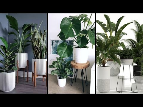 , title : '40 Modern Indoor Plants Decor Ideas / Interior Design / Best Houseplants Design Ideas