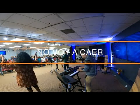 NO VOY A CAER (Jan Earle)