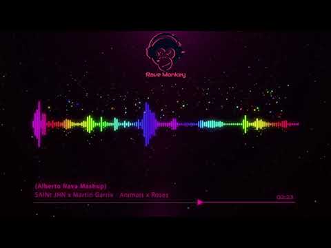 SAINt JHN x Martin Garrix - Animals x Roses (Alberto Nava Mashup){GDvali}