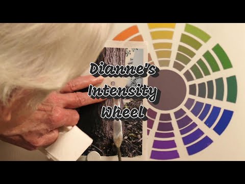 Quick Tip 450 - Dianne's Intensity Wheel