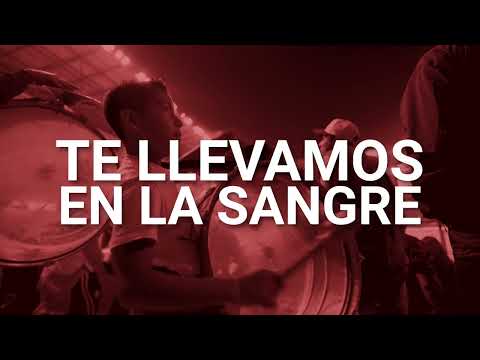 MUCHACHOS - LBR TEMA NUEVO @Deportivotolucafcoficial  #toluca #tolucafc