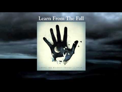 Learn From The Fall video
