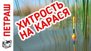 Рыболовные снасти из россии в беларусь