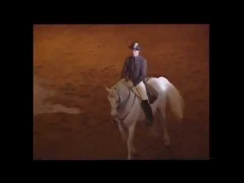 Spanische Reitschule Wien 1994 (1/6) - Alle Gänge und Touren