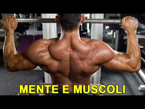 I parassiti che vivono in carne di manzo Se ci sono parassiti quello che ci possono essere sintomi
