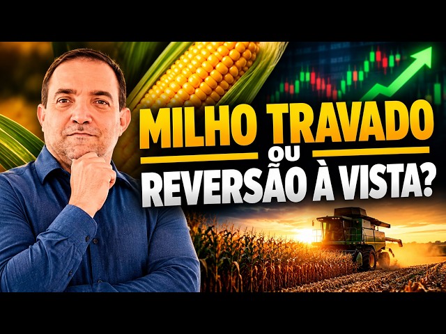 MILHO Travado ou Reversão à Vista? O Que Fundos e Gráficos Revelam?