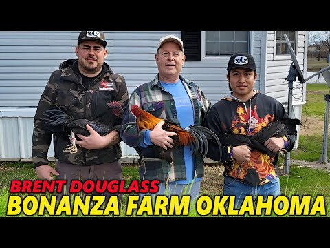 Big Farm Brent Douglass - Bonanza Farms Collinsville Oklahoma