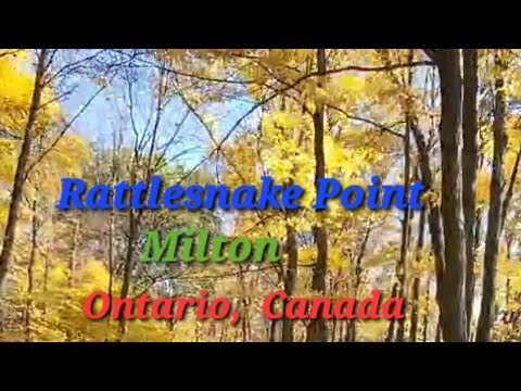 Rattlesnake Point, Milton: Ontário, Canadá: Explore a beleza