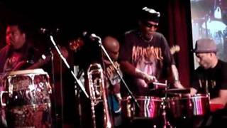 MANDRILL GOES WILD IN TIMES SQUARE (2011)