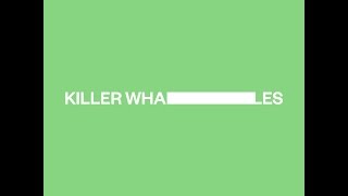 Killer Whales Music Video