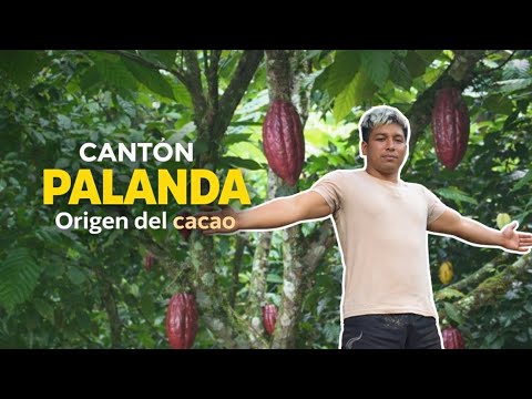 Día 4. En este lugar domesticaron el Cacao hace 5500 años | Vuelta a Zamora Chinchipe 