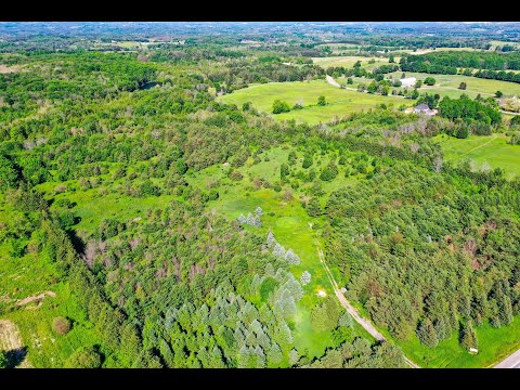 17217 Airport Road Caledon Home for Sale - Real Estate Properties for Sale