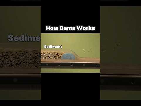 how dam works