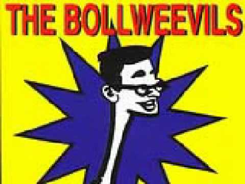 The Bollweevils - Happy