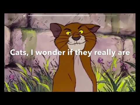 Character Story 2 part 11 Orange Cat Switch/The Squirrels Aisle