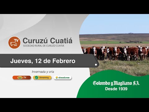 2026.02.12 Curuzú Cuatiá Remate TV