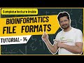 Comprehensive Guide to Sequence File Formats in Bioinformatics