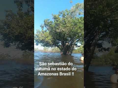 Sao sebastião do uatumã no estado do amazonas