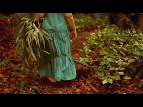 Isadora Canto - Flor e Ser Clipe Oficial