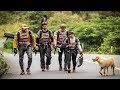 This Dog Followed Four Endurance Athletes On A Dangerous 430 Mile Race Just To Try To Find A Home