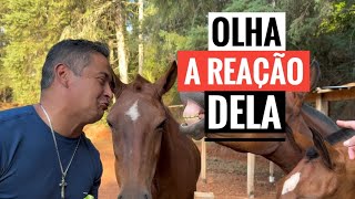 NINGUÉM MERECE UM PRESENTE COMO ESSE!