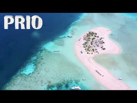 PRIO - TELEFON (Prod By 7even beats x PRIO x DucNH)