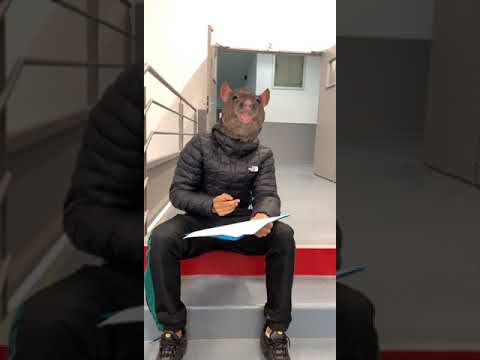 Le Rat et le devoir maison #Shorts