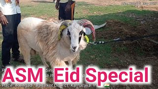 Episode -123 | Amingad Eid Sheep Market 3rd May 2025, Bagalkot district, Karnataka, India 🇮🇳🐑🐏🐏🐏