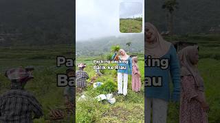 Download lagu Yeah, I'm going back now #minivlog #adayinmylife #dailyvloguul mp3 Download lagu Yeah, I'm going back now #minivlog #adayinmylife #dailyvloguul mp3