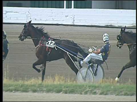 Trotto 25/06/2016 - 7° corsa