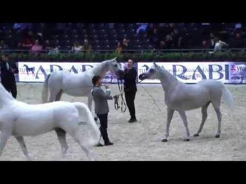 Memories of Paris 2019 - World Championships - Part 4 - Group 3b - Senior Female